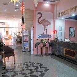 Flamingo Beach Hotel Lobby