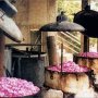 Agros Village: Rose Factory
