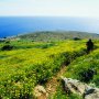 Ayia Napa Attractions: Cape Greco - Hiking Trails