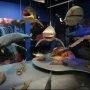 Ayia Napa Attractions: Thalassa Museum - Fish Dioramas